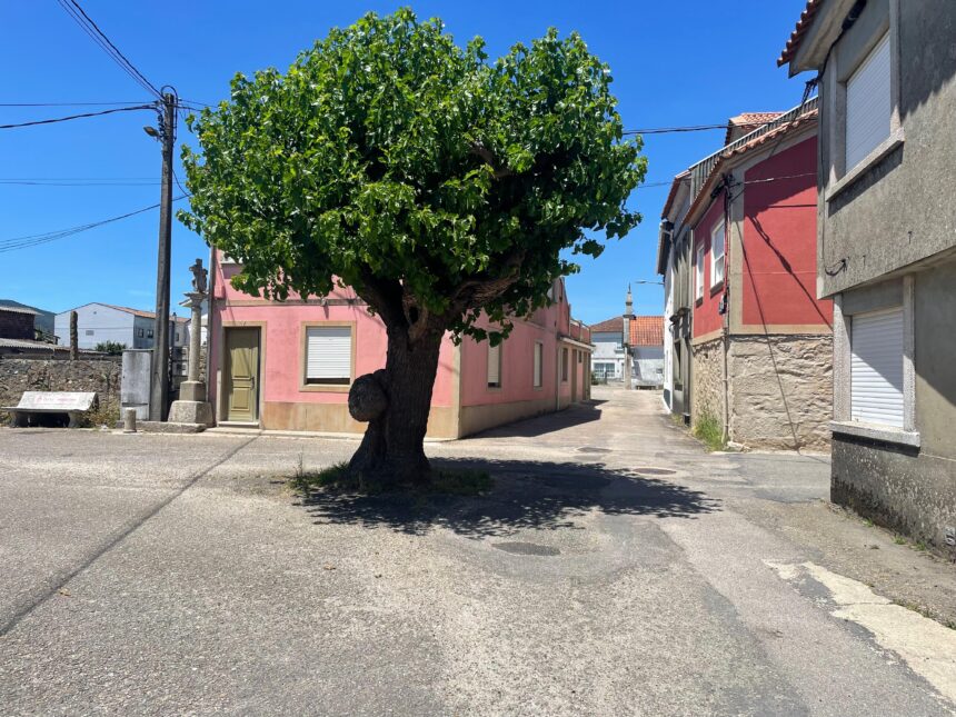 NdP O Rosal destina case 455 000 euros a recuperar e mellorar a contorna do San Gregorio