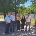 Parcela Museo a80014618