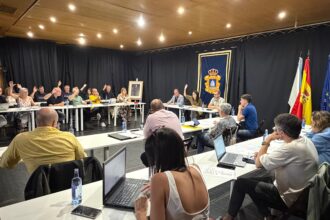 Pleno ordinario xuno 2026