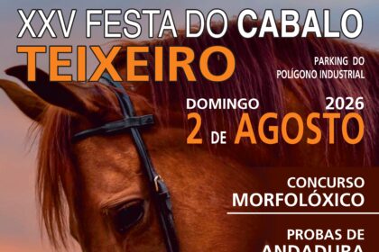 Cartel xxv festa do cabalo teixeiro 1