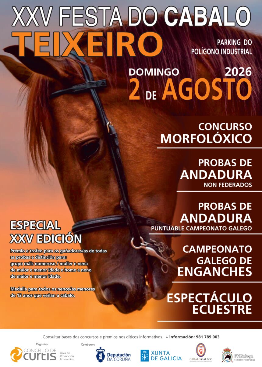 Cartel xxv festa do cabalo teixeiro 1