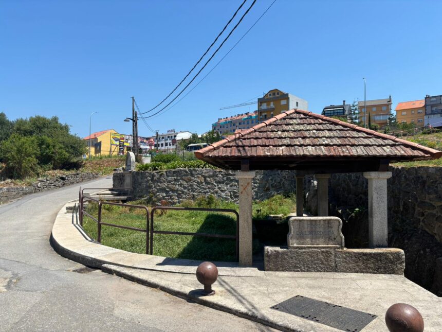 Lavandeira 02