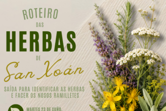 Roteiro herbas de san xoan 2