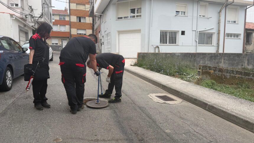 Campana especial roedores e cucarachas Xullo 2026 2