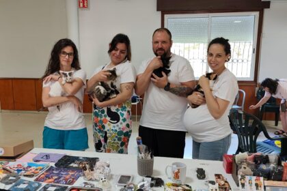 GATOPIA EN CAT DATES