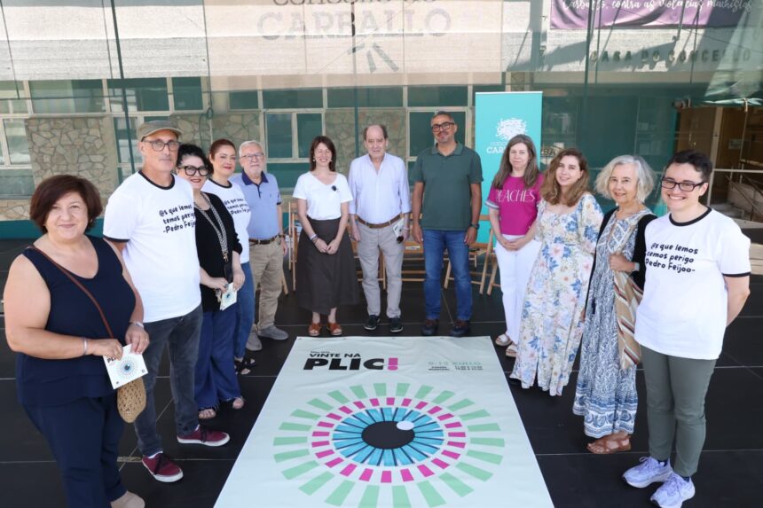 PLIC 3