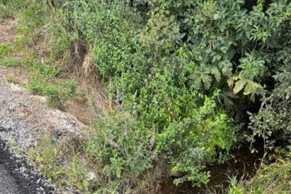 Perigo en caso de inundacions