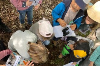 Actividades veran aula natureza cabo udra 2023 10