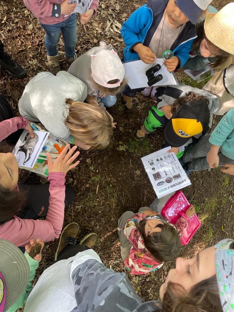 Actividades veran aula natureza cabo udra 2023 10