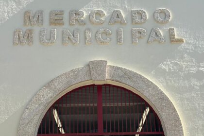 21092026 Presentacon campana outono acemas