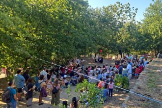 Alfacuca Picnic