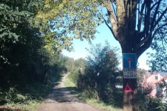 Camino Outiz de Abaixo
