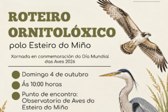 Roteiro dia das aves