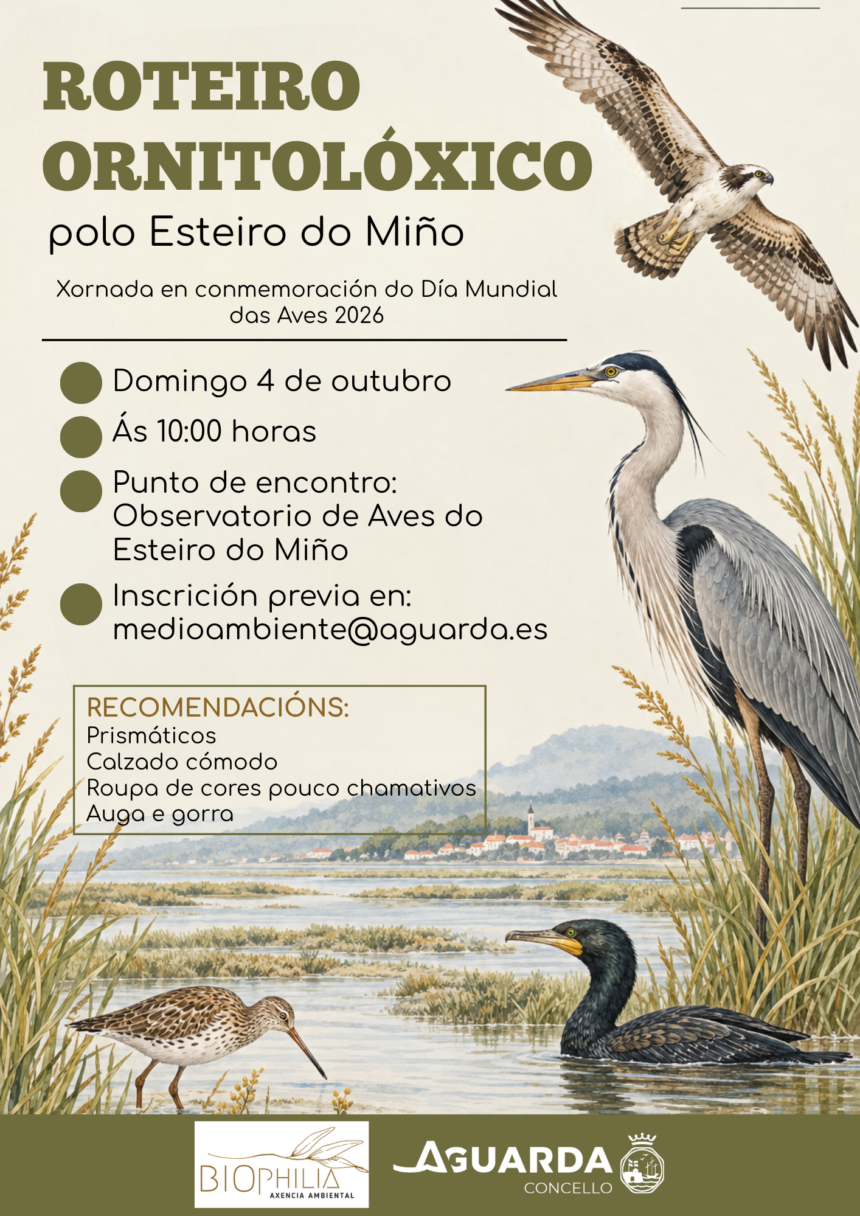 Roteiro dia das aves