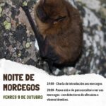Cartel Noite de morcegos