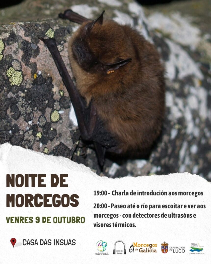 Cartel Noite de morcegos
