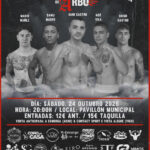 Cartel Poster Boxe Dani