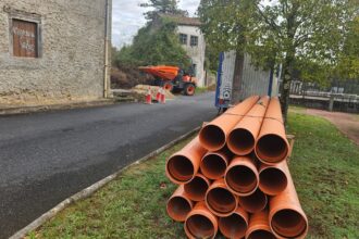 Fiobre1