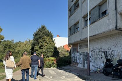 IMG 3251