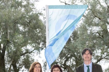 Bandeira verde tomino