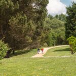 Parque 13 rosas
