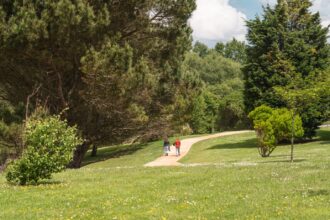 Parque 13 rosas
