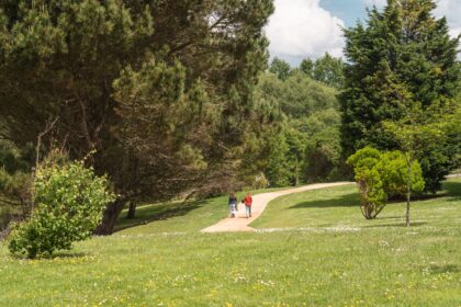 Parque 13 rosas